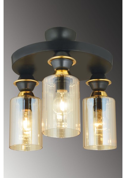 3 Siyah 3'lü Plafonyer Silindir Camlı Aşağı Bakan Lüks Avize 30 x 30 Siyah E27 Modern