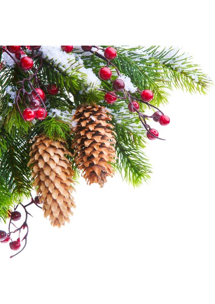 60X60 LED Panel Sıva Altı Desenli 2x2 Dörtlü Grup 46511026SA modelleri