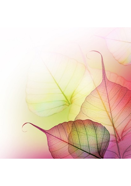 60X60 LED Panel Sıva Altı Desenli 2x2 Dörtlü Grup 46510044SA modelleri