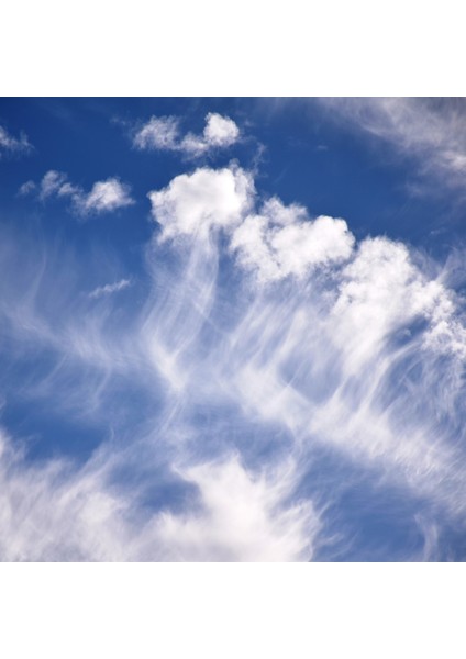 60X60 LED Panel Sıva Altı Desenli 2x2 Dörtlü Grup 46510167SA modelleri