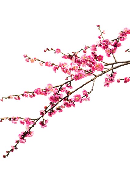 60X60 LED Panel Sıva Altı Desenli 2x2 Dörtlü Grup 46510163SA modelleri