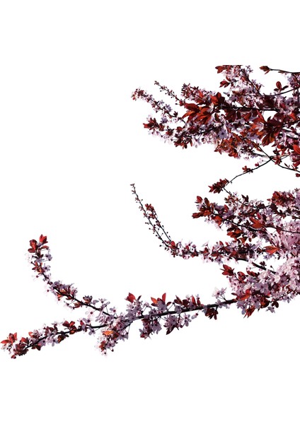 60X60 LED Panel Sıva Altı Desenli 2x2 Dörtlü Grup 46510176SA modelleri