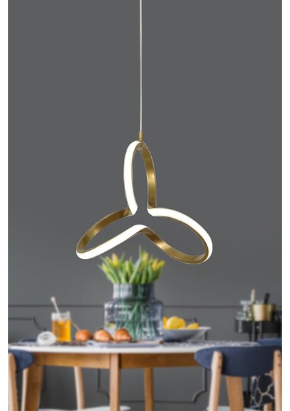 Beyaz Orjinal Yonca Modern Gold Kasa Beyaz Işık LED Avize Yonca Ledli Avize 30 x 30 Gu5.3 Modern 1