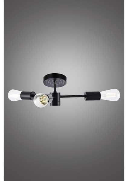 Metal Rosa Modern 3 Lü Siyah Plafonyer Avize Modern Siyah E27 3