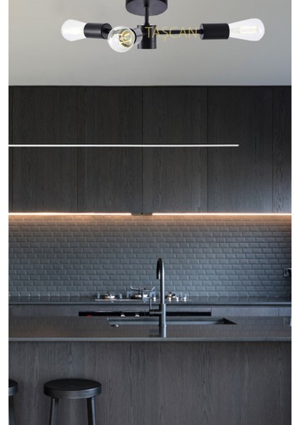 Metal Rosa Modern 3 Lü Siyah Plafonyer Avize Modern Siyah E27 3 fiyatları