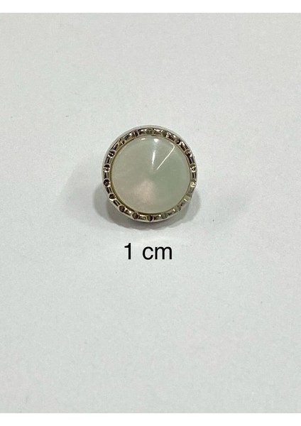 Bluz Gömlek Düğmesi/metalize(Plastik) Düğme / 10 Lu Set / 1 cm
