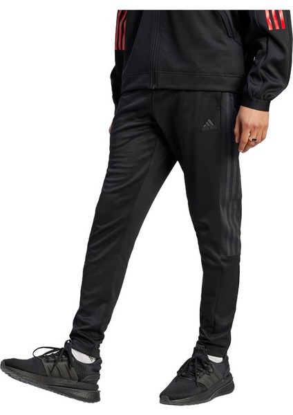 Erkek M TIRO PT Eşofman Altı IM2899