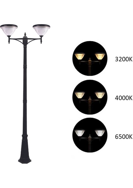 2X100W Güneş Enerjili Solar Bahçe Armatür (300CM Direkli)