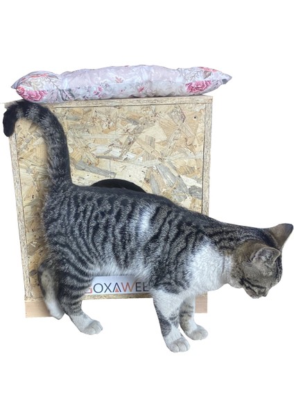 Dizayn Kedi Evi Dış Ortam Uygun Ahşap Kedi Evi Osb 40X37X34 cm (Minder ) indirimleri