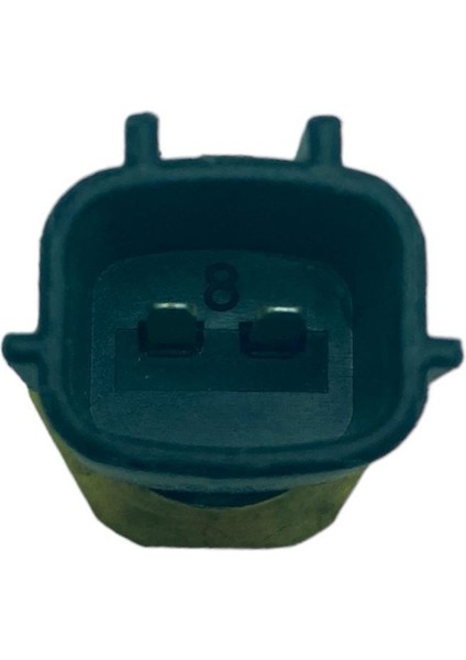 Sıcaklık Müşürü - Renault Magane 4 Talisman 1.6 16V modelleri