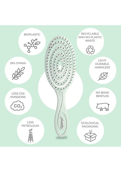 Dolaşık Açıcı Saç Fırçası - Saçları Çekmez - Kıvırcık, Düz Ve Islak Saçlar Için Saç Düzleştirme Fırçaları - Benzersiz Spiral Saç Fırçası (Yeşil) (Yurt Dışından) fırsatları