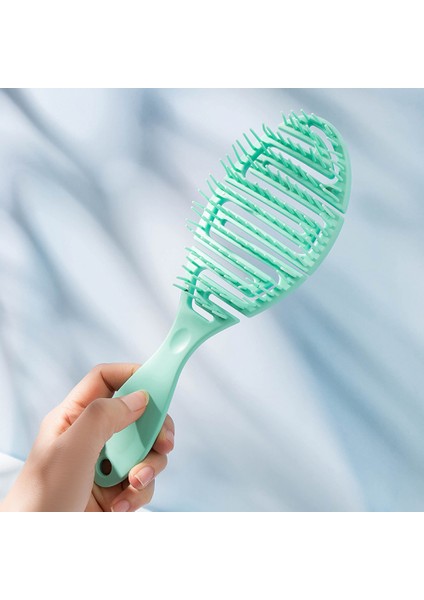 2'Li Set Saç Fırçası Saç Derisine Masaj Taraklar Saç Şekillendirici Dolaşık Açıcı Hızlı Fön Kurutma Dolaşık Açıcı Aracı Islak Kuru Kıvırcık Saçlar Için (Mavi) (Yurt Dışından) fırsatları