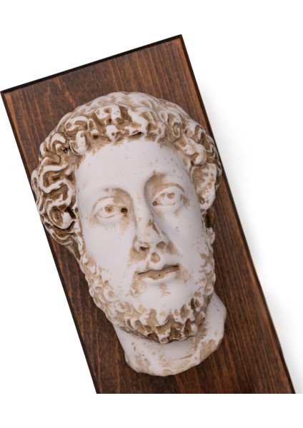 Commodus Kitap Desteği 2’li Set