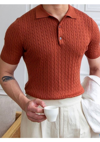 Erkek Polo Yaka Pamuk Saç Örgülü Slim Fit Kısa Kollu Ince Triko Tişört