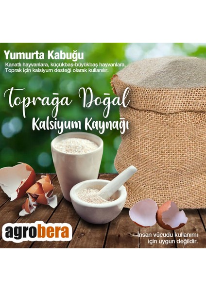 Yumurta Kabuğu