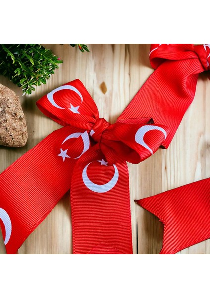 9-16 Yaş Türk Bayrakli Ti?şört Kırmızı 23 Nisan 29 Ekim Tören Gösteri Kostümü Toka Hedi?yeli? fiyatları