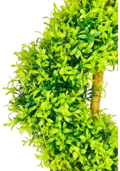Yapay Ağaç Spiral Şimşir Ağacı Ince Yapraklı 160CM Bambu Saplı Salon Bitkisi Düz Yeşil modelleri