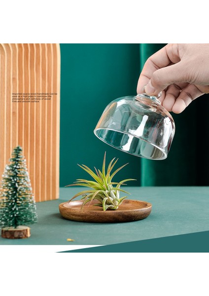 Çok Fonksiyonlu Mini Tatlı Servis Standı Kek Tabağı Kubbe Kapaklı Tabağı Ev Oteller Için Kek Tabağı (4 Adet), (Yurt Dışından) fiyatları