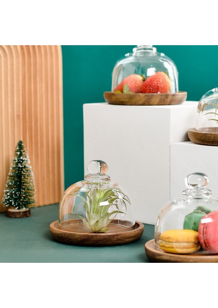 Çok Fonksiyonlu Mini Tatlı Servis Standı Kek Tabağı Kubbe Kapaklı Tabağı Ev Oteller Için Kek Tabağı (4 Adet), (Yurt Dışından) modelleri