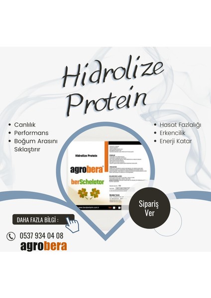 Sıvı Hidrolize Protein