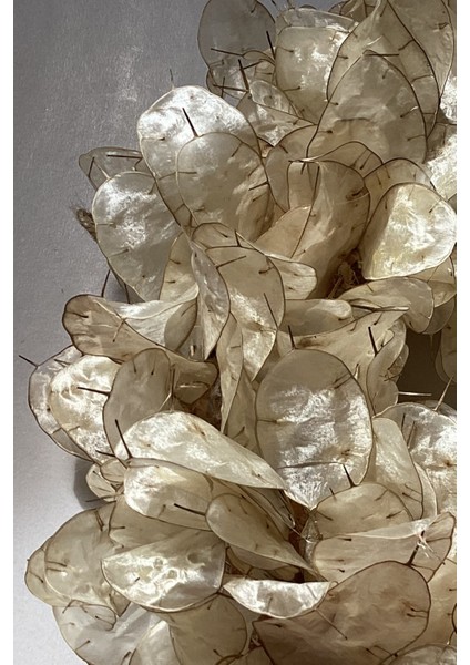 Lunaria Sedef Çiçeği Parıltı Çelenk 25 cm indirimleri