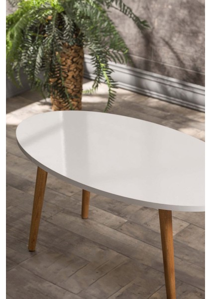 Ahşap Torna Elips Orta Sehpa fiyatları