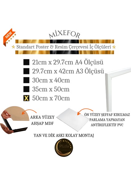 50CM X70CM Ölçü Boş Çerçeve -Poster Fotoğraf Resim Çerçevesi Ön Yüzey Antireflektif