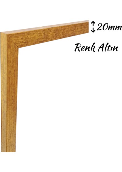 50CM X70CM Ölçü Boş Çerçeve -Poster Fotoğraf Resim Çerçevesi Ön Yüzey Antireflektif