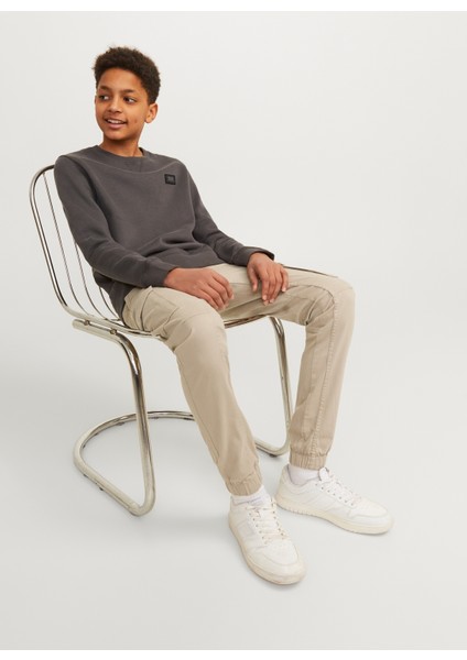 Normal Bel Lastikli Paça Taş Erkek Pantolon Jpstpaul Jjflake 1075 Crockery Noos