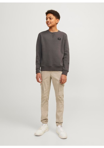 Normal Bel Lastikli Paça Taş Erkek Pantolon Jpstpaul Jjflake 1075 Crockery Noos indirimleri