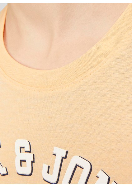 Baskılı Somon Erkek Çocuk T-Shirt Jjelogo Tee Ss Neck 2 Col 23/24 Noo