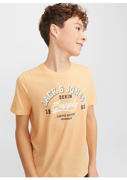 Baskılı Somon Erkek Çocuk T-Shirt Jjelogo Tee Ss Neck 2 Col 23/24 Noo