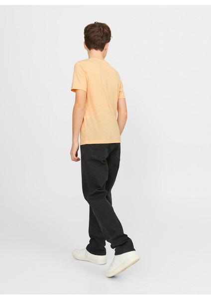 Baskılı Somon Erkek Çocuk T-Shirt Jjelogo Tee Ss Neck 2 Col 23/24 Noo