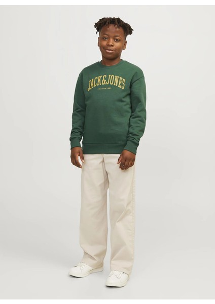 Baskılı Erkek Çocuk Koyu Yeşil Sweatshırt Jjejosh Sweat Crew Neck Noos Jnr modelleri