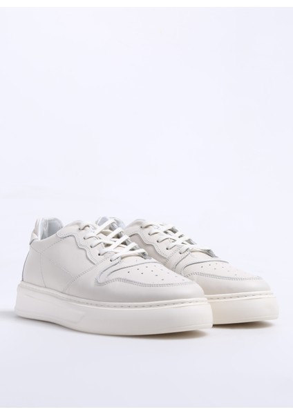 Ekru Erkek Deri Sneaker Aelı