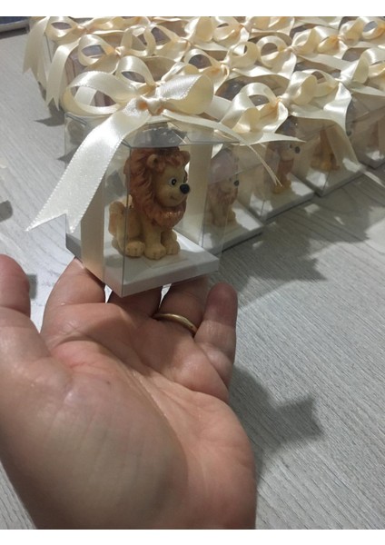 Aslan Mum 15ADET,DOĞUM Günü Hediyesi, Bebek Mevludu, Sünnet Hatırası, Babyshower,diş Partisi,yenidoğan Hediyelik Mum