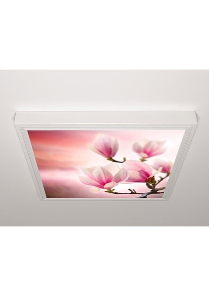 60X60 LED Panel Sıva Üstü Desenli Tekli 46510007SU