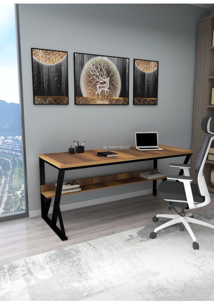 3E Dekorasyon Yapı Çalışma Masası Bilgisayar Masası Ofis Masası Makam Masası Patron Masası 70 x 170 x 75 cm Mdf