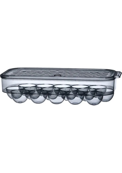 Bir Stil 31,5X7,5X14,3 cm Taze Koru Yumurta Saklama Kutusu Yumurta Tepsisi Buzdolabı Yumurta Taze Tutma Saklama Kutusu Li ile 16 Izgara Dağıtıcı Yumurta Mağaza Kabı (Yurt Dışından)