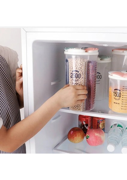 OVAL-2500ML Stili Mutfak Saklama Kutusu Gıda Saklama Kutusu Mutfak Gereçleri Tahıl Depolama Tankı Neme Dayanıklı Mühürlü Kutular Şeffaf Organizatörler (Yurt Dışından) fırsatları