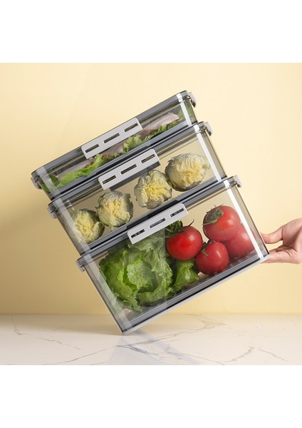 7009 Gri Stil Buzdolabı Saklama Kutusu Mutfak Saklama Kabı Gıda Sınıfı Pet Plastik Şeffaf Kalınlaşmış Zaman Işleyişi Dondurulmuş Organizatör Kutusu (Yurt Dışından) modelleri