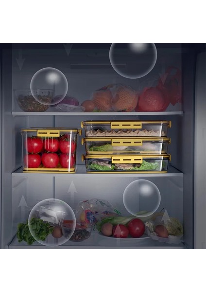 7009 Gri Stil Buzdolabı Saklama Kutusu Mutfak Saklama Kabı Gıda Sınıfı Pet Plastik Şeffaf Kalınlaşmış Zaman Işleyişi Dondurulmuş Organizatör Kutusu (Yurt Dışından) indirimleri