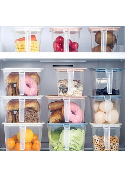 Ordu Yeşili Tarzı Mutfak Şeffaf Saklama Kutusu Mühürlü Kavanoz Tahıllar Fasulye Depolama Organizatör Gıda Kapları Buzdolabı Saklama Kutuları (Yurt Dışından) indirimleri