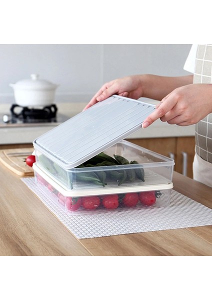 Büyük-Gri Tarzı Oneup Saklama Kabı Mutfak Organizatör Sebze Saklama Kutusu Conta Koruma Konteyner Buzdolabı Mutfak Aksesuarları (Yurt Dışından) indirimleri