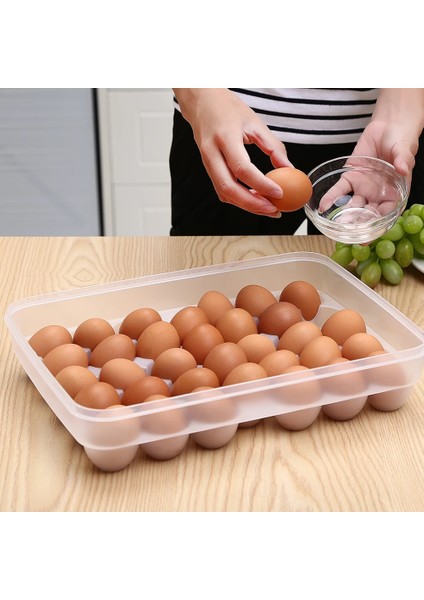 Stili Temizle 34 Izgara Plastik Yumurta Saklama Kutusu Taşınabilir Gıda Saklama Kabı Buzdolabı Yumurta Tepsisi Tutucu Kapaklı Konteyner Mutfak Gadget (Yurt Dışından)