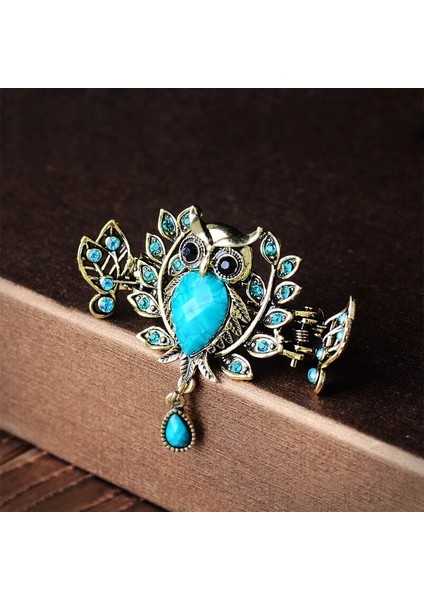 Mavi Muylinda Vintage Bronz Baykuş Saç Pençe Klip Metal Rhinestone Saç Tokası Aksesuarları Kadın Takı Saç Yengeç Aksesuarları (Yurt Dışından) fiyatları