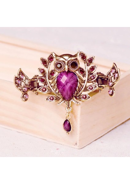 Mavi Muylinda Vintage Bronz Baykuş Saç Pençe Klip Metal Rhinestone Saç Tokası Aksesuarları Kadın Takı Saç Yengeç Aksesuarları (Yurt Dışından) fırsatları