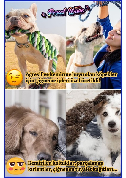 Proud Wave Köpek Oyuncağı Fanatik Üçlü Set Diş Ipi Diş Sağlığı Köpek Topu Sarı Lacivert Orta Iri Irk Diş Kaşıma ipİ