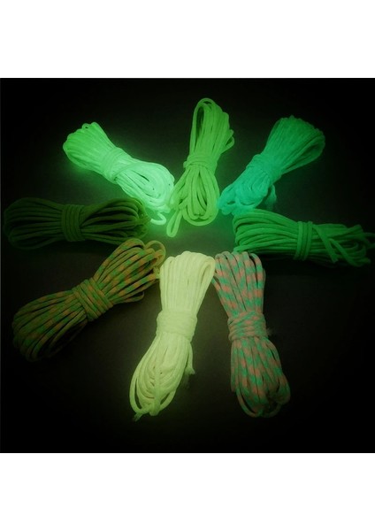 No.9 Tarzı 5 Yards 4mm Aydınlık Halat Paracord Araşüt Kordon Kordon Halat Mil Spec Tip Iıı 7 Strand Dıy Bilezik Aksesuarları (Yurt Dışından) modelleri