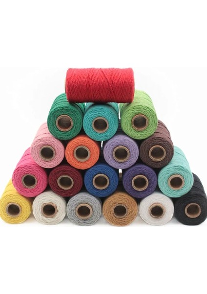 Açık Yeşil Stil 100MROLL Renkli Pamuk Ipliği Diy El Dokuma Halat Ince Pamuklu Kordon Dokuma Goblen Halat Halat Bağlama Halatı Dekoratif Malzeme (Yurt Dışından)
